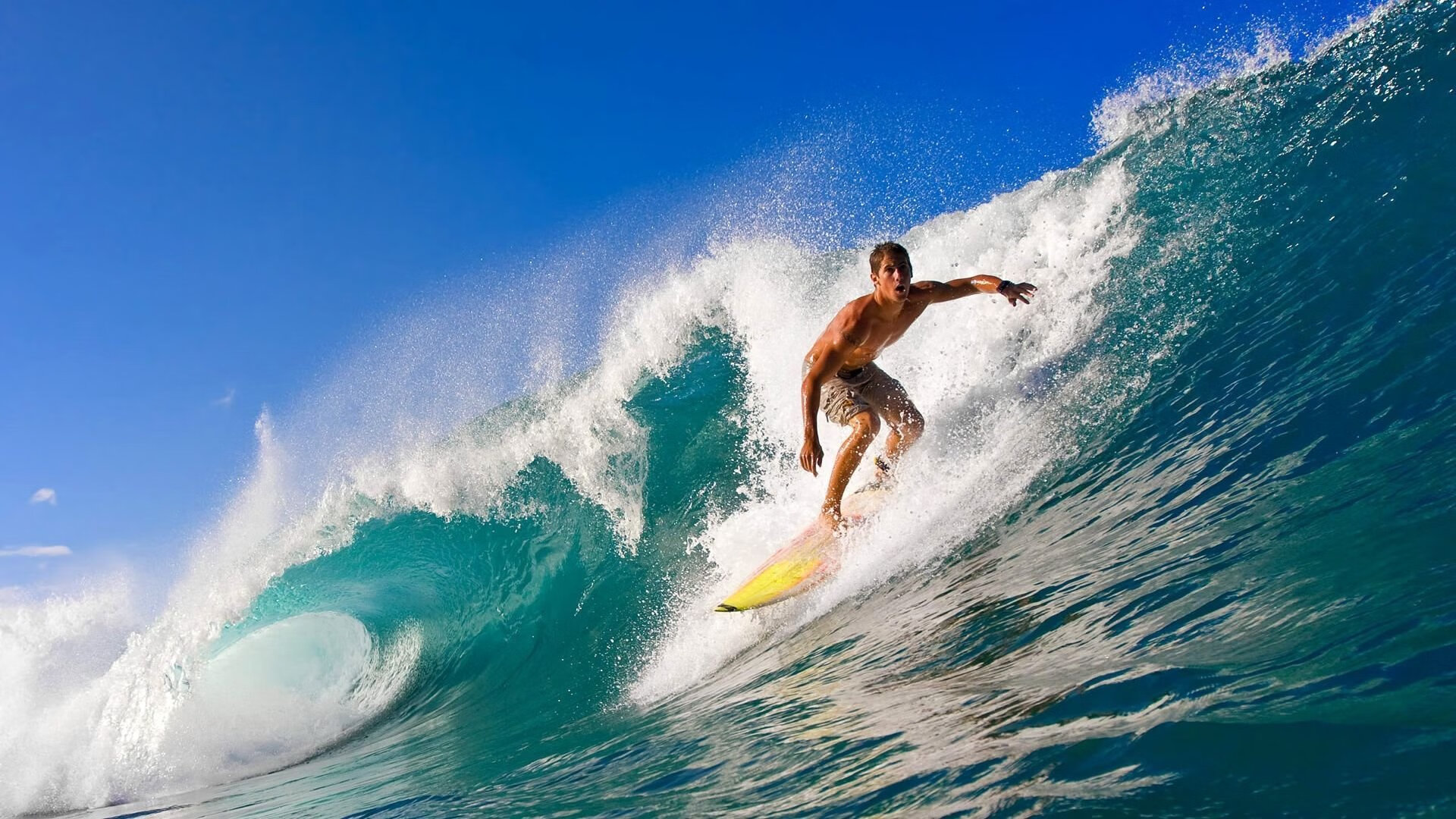 体育新闻中心协助地方体育局提升数字传播能力和水平，体育数据新闻